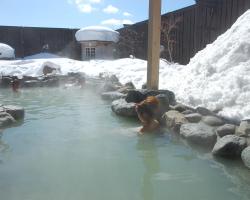 Hotel Hakuba Goryu