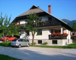 Apartments Žnidar