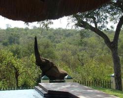 Muweti Bush Lodge