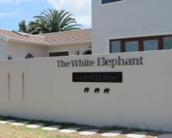 The White Elephant Guesthouse