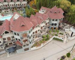 The Castle at Swan Lake