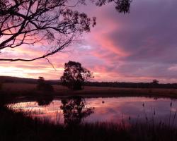 Wind Song Bed & Breakfast