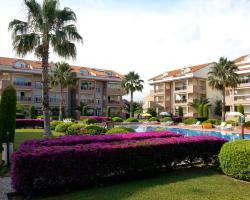 Citrus Garden