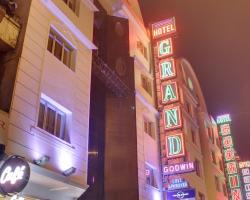 Hotel Grand Godwin - Near New Delhi Railway Station - Paharganj