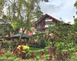 Log Cabin Hotel - Safari Lodge Baguio