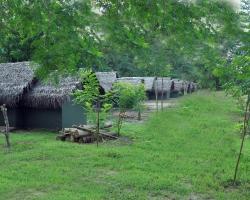 Gangadhara Camping / Eco Lodges