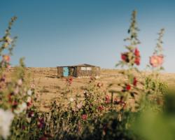 Succah in the Desert