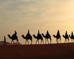 Rao Bika Ji Camel Safari