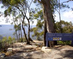 Blue Mountains Villa