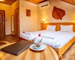 Hotel Manzard Panzio