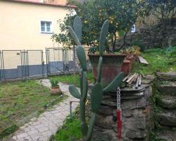 Old Cottage Downtown Monterosso