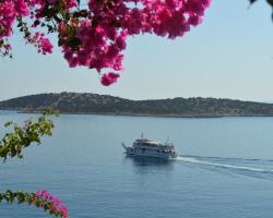 Angeliki's Apartments