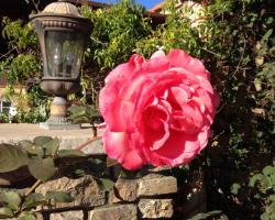 Leucadia Beach Inn