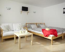 Apartment Bořivojova