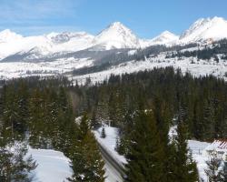 Apartmanovy byt pri Zubačke