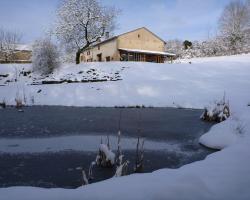 Le Fuligule Morillon