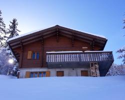 Dein Studio im Chalet Primeli