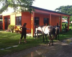 La Casa de Cricri Hostel