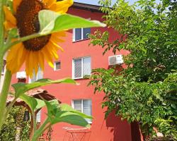 Guest House Sunflowers