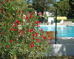 Camping Aquileia