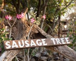 Sausage Tree Safari Camp