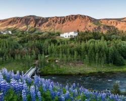 Iceland's Guesthouse