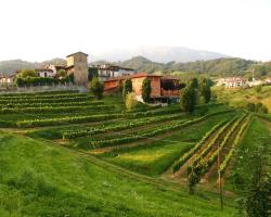 Agriturismo Il Belvedere