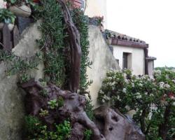 Agriturismo Ruvitello