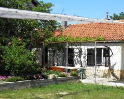 Dalmatian house "Nela"