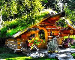 The Hobbit Hole