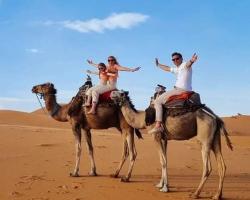 Bivouac Camel Trips