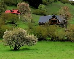 Süllü Dağ Evi