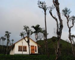 Tea Terrace Vythiri