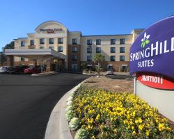 SpringHill Suites by Marriott Charleston North