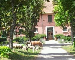 Country House Villa delle Rose Agriturismo