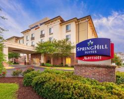 SpringHill Suites by Marriott Lafayette South at River Ranch