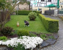 Luisengarten Pension Garni