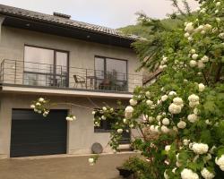 Guesthouse U dida Viktora