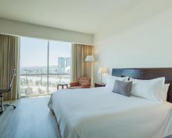 カミノ レアル パチューカ