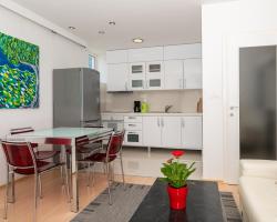 Luxury apartment Silvana in the city center