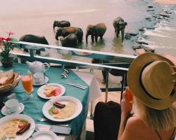 Hotel Elephant Park - NEW DEAL! Exclusive Offers on Pickups Available!