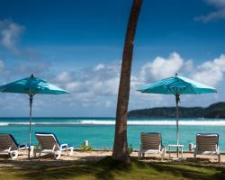 Coral Reef - Saint Barths