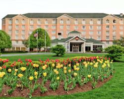 Hilton Garden Inn Albany Airport