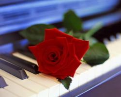 Hotel Schindleruv Haj