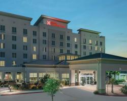 Hilton Garden Inn San Antonio/Rim Pass Drive