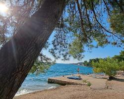 Apartments Ana Žaborić, 50 m od šljunčane plaže