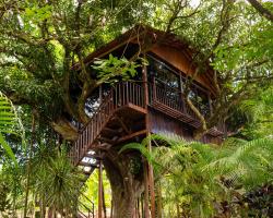 Hotel Heliconias Nature Inn & Hot Springs