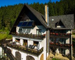 Bucovina Lodge Pension