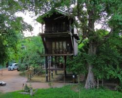 Wilpattu Tree House