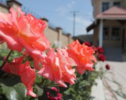 The Zhibek-Zholu Guest House